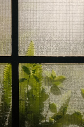 A textured glass window with a grid pattern partially obscures green foliage behind it. The plants are silhouetted, showing outlines of leaves and ferns, and creating a soft, diffused aesthetic.