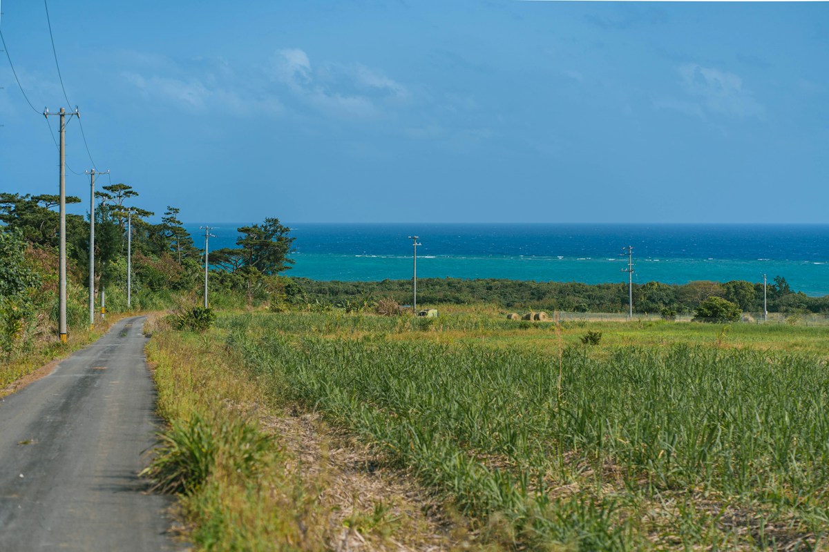 晴天下的海岸公路，一側是草地與海面