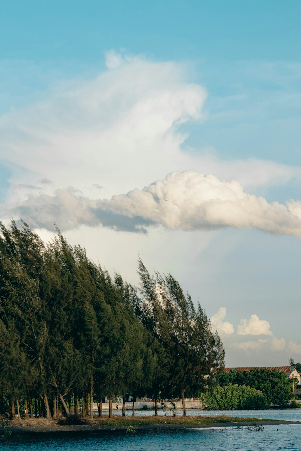 a lake with trees and clouds in the background