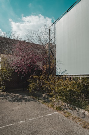 A large blank billboard stands beside a parking area surrounded by overgrown vegetation. The sky is partially cloudy, with a bright blue hue. Pink blossoms and bare branches of trees form a contrasting backdrop against the billboard.