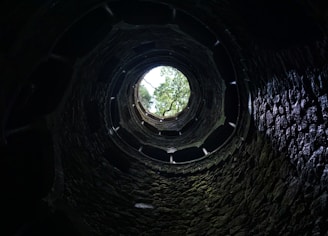 a dark tunnel with a tree in the middle