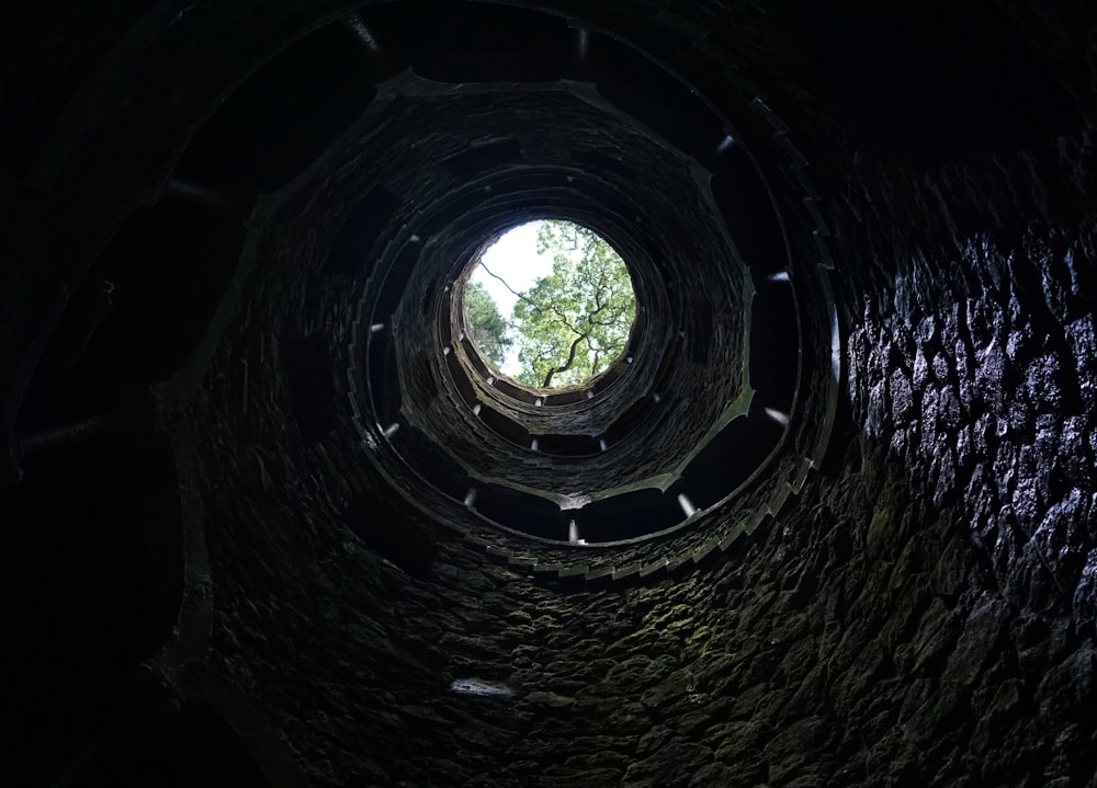 a dark tunnel with a tree in the middle