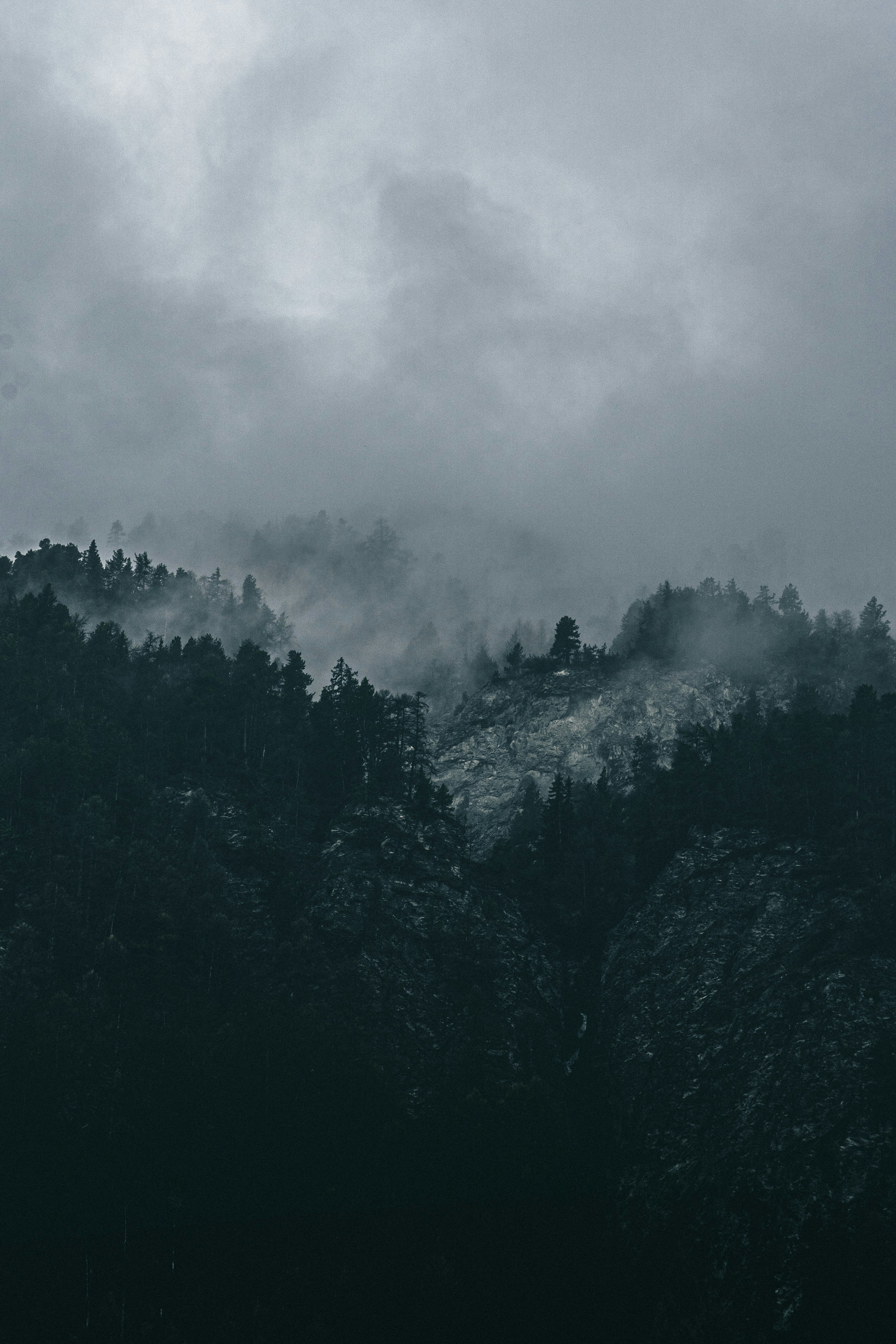 moody forest wallpaper, wallpaper, Foggy Morning Wallpapers: Embrace the Mystical 3