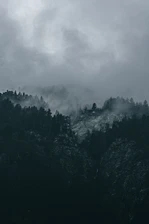 a black and white photo of a mountain covered in clouds
