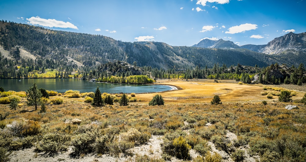 une vue panoramique d’un lac entouré de montagnes