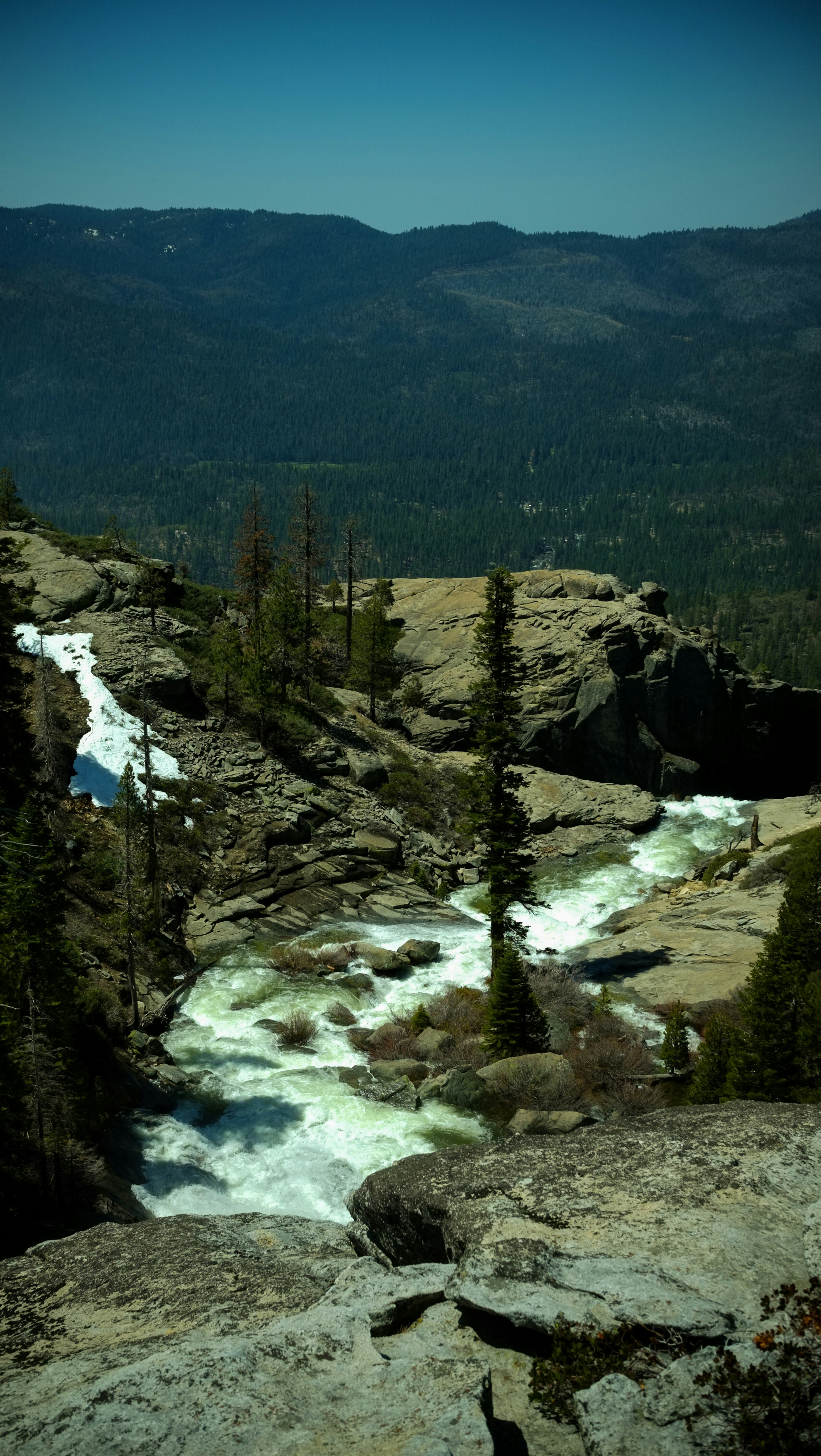 Photo by david_moorhouse