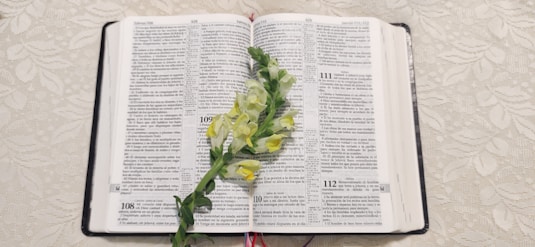 An open book with delicate flowers resting on its pages.