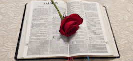 An open Bible resting beside a vase of fresh roses on a wooden table.
