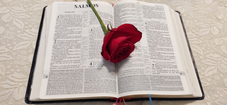 An open Bible with a single red rose placed on top, highlighting the pages of Psalms. The book is resting on a light-colored, intricately patterned tablecloth.