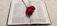 A serene red rose resting gently on an open Bible, bathed in soft morning light.