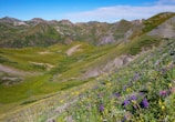 Lush green hills of the Abruzzo mountains with wildflowers in bloom.