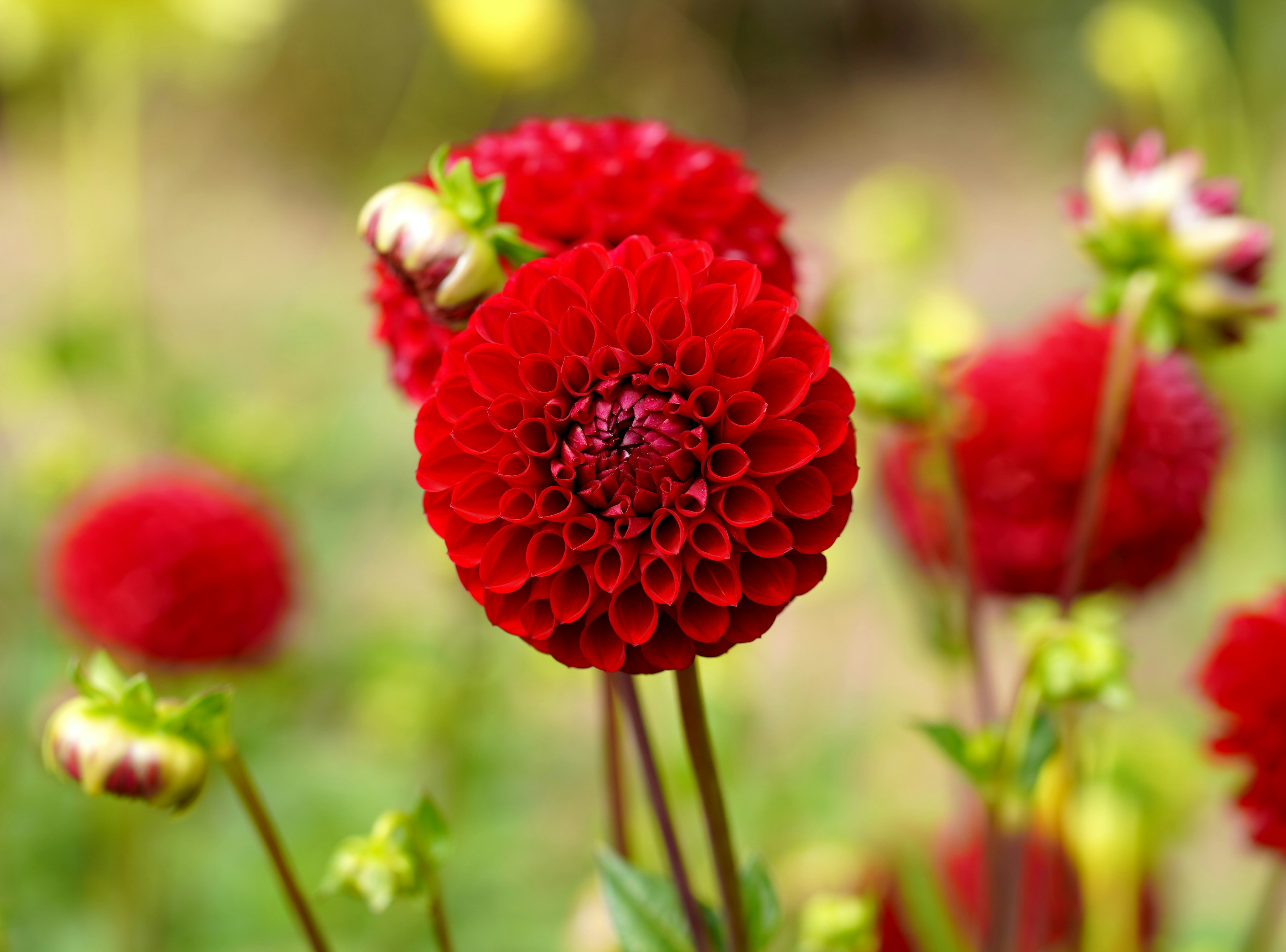 Photo by jeremygbrady