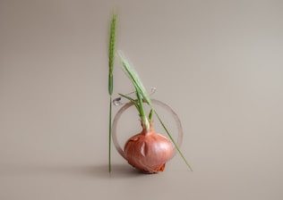 A sprouting onion stands elegantly in front of a plain, neutral background. Tall green grass-like blades emerge from the onion's top, accompanied by a halo of thin, curling metal strips encircling part of it. The minimalistic composition emphasizes the natural textures and forms of the onion and greens.