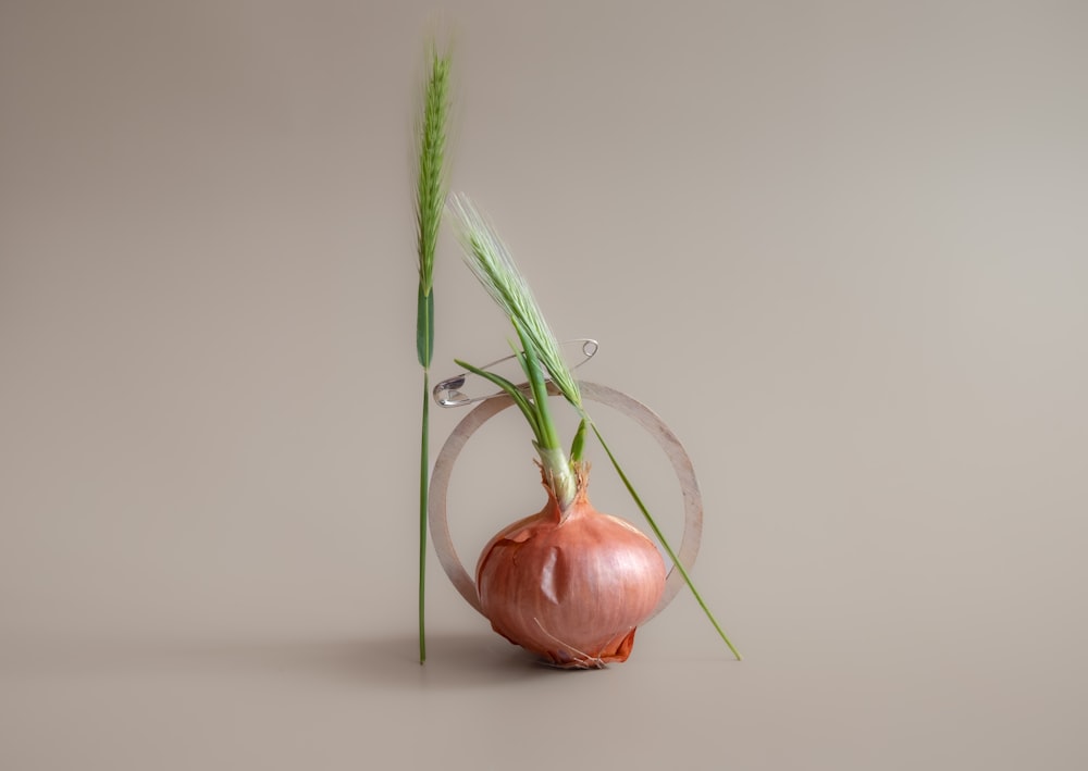 a red onion with a green stalk sticking out of it