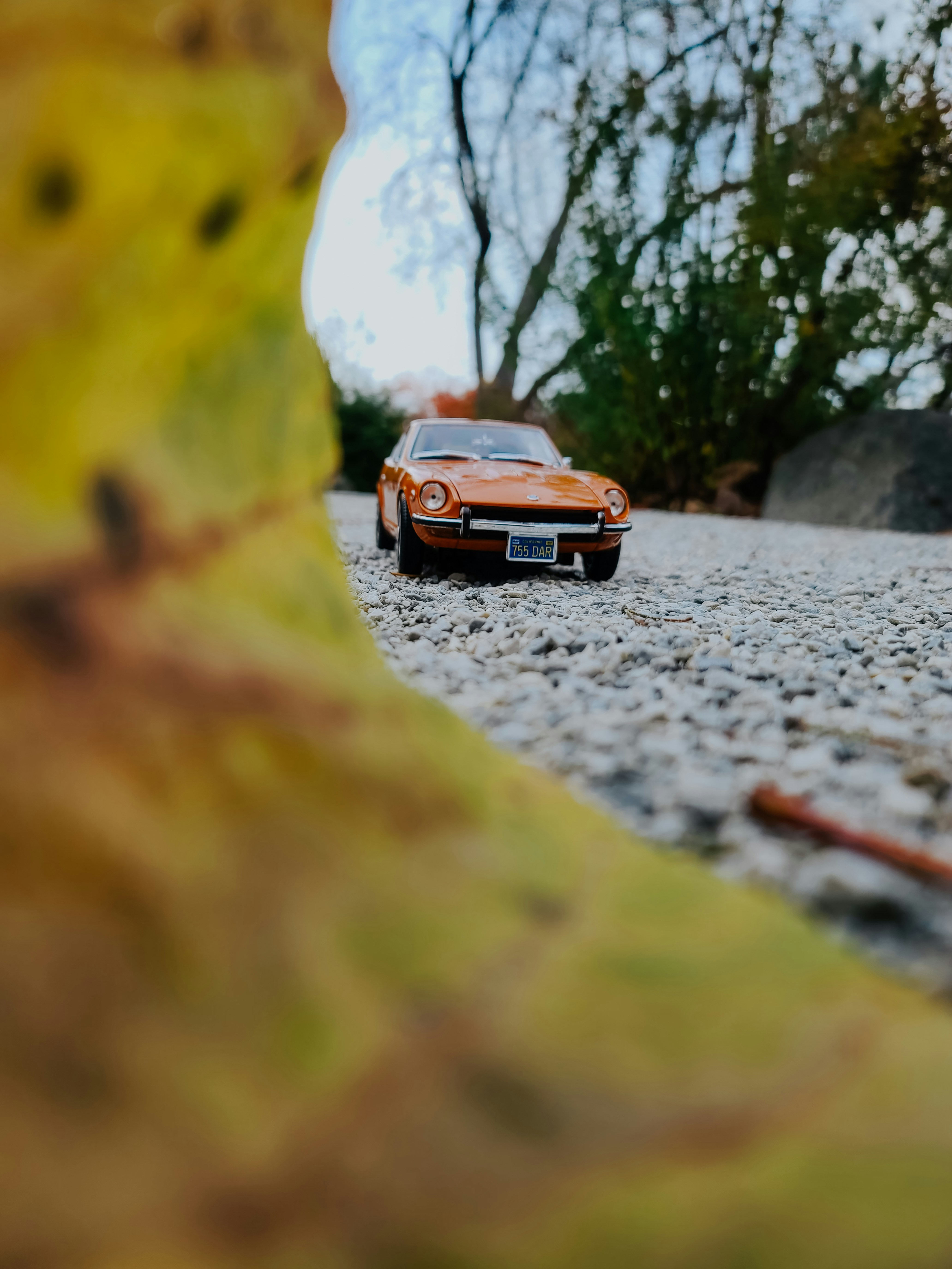 Photo by aryanspixel