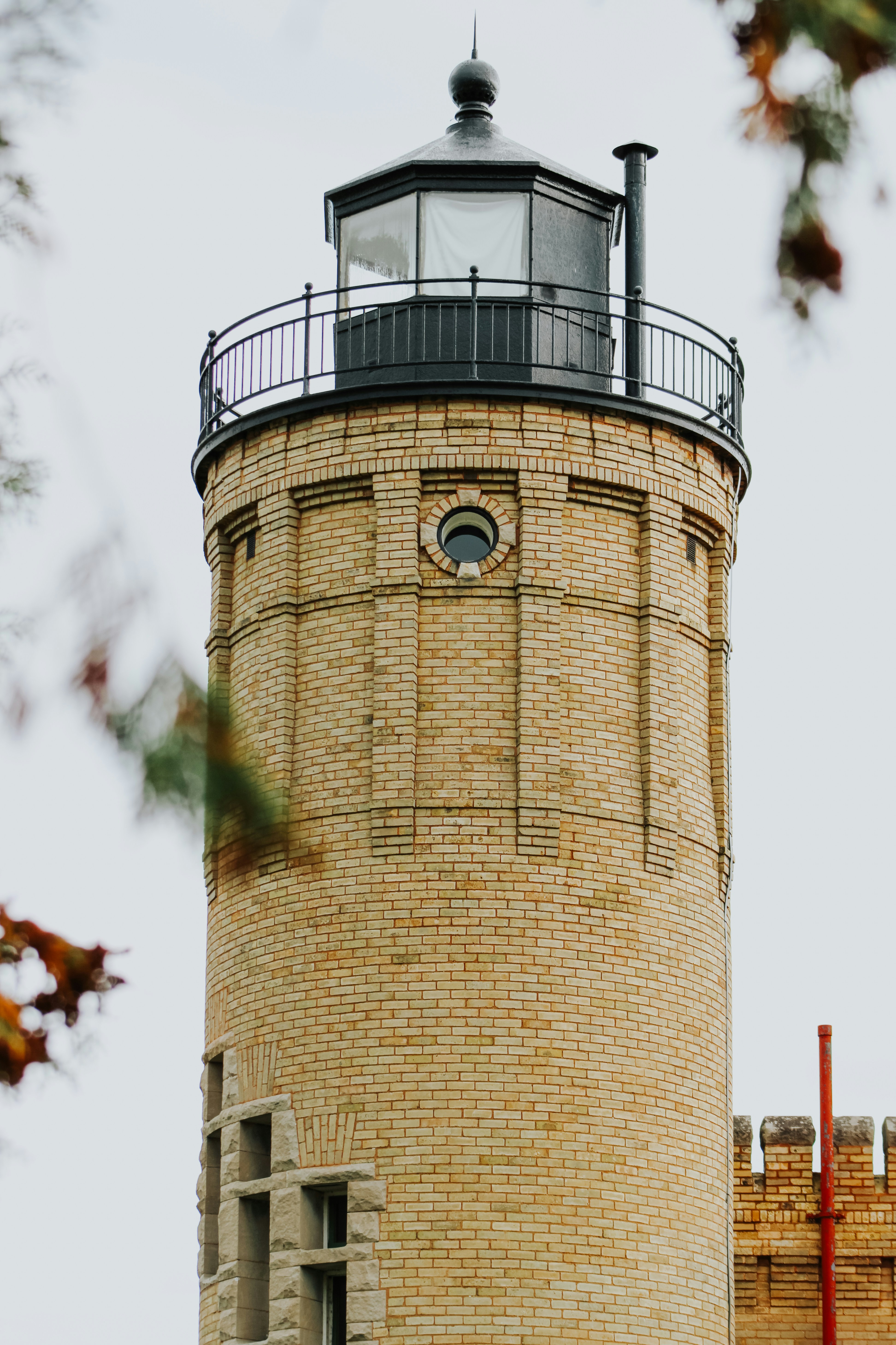 Photo by aryanspixel