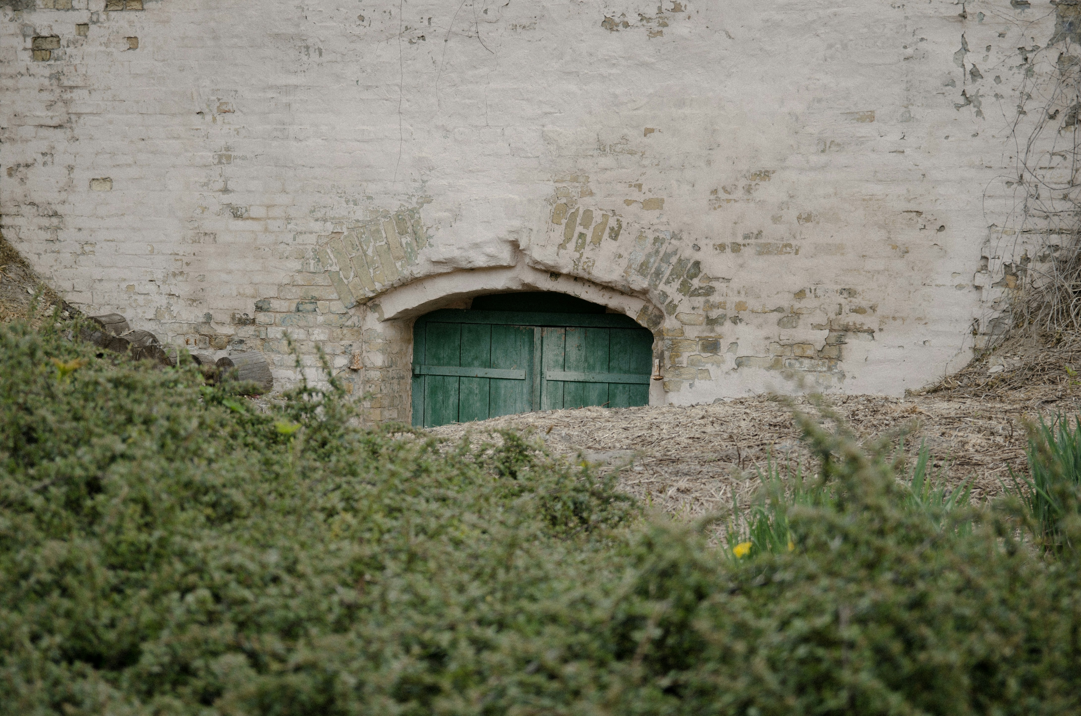 un mur de briques avec une porte verte