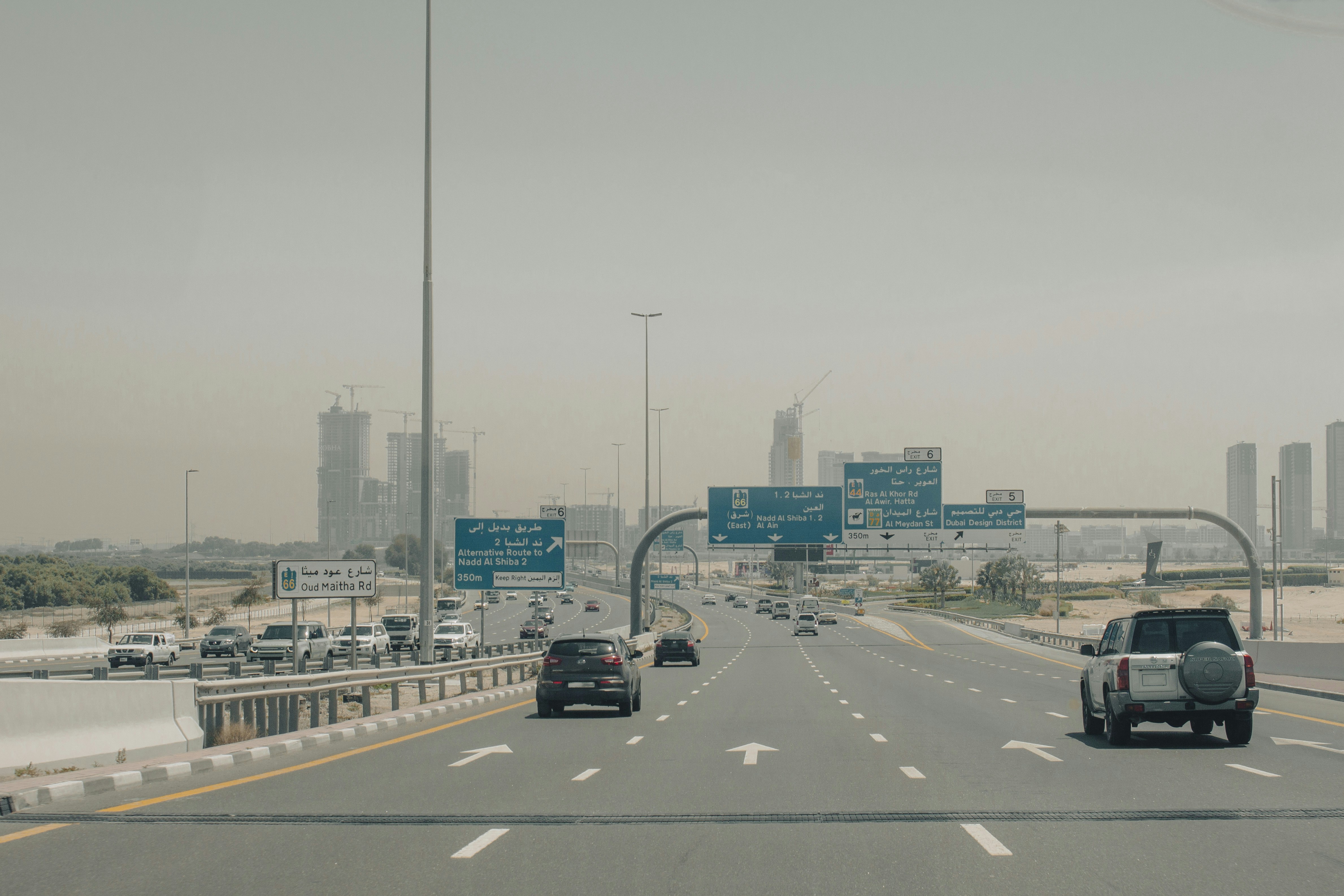 Photo by robin___the___bird