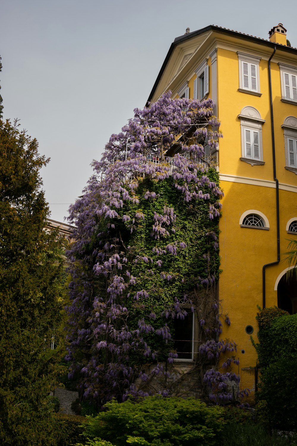 a tall yellow building with purple flowers on it