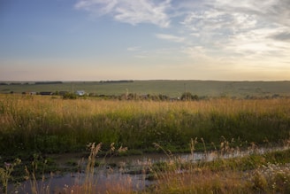 A serene farm landscape with lush green fields under a soft morning light, showing traditional farming tools resting near a rustic wooden fence.