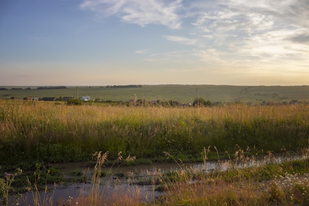 A serene farm landscape with lush green fields under a soft morning light, showing traditional farming tools resting near a rustic wooden fence.