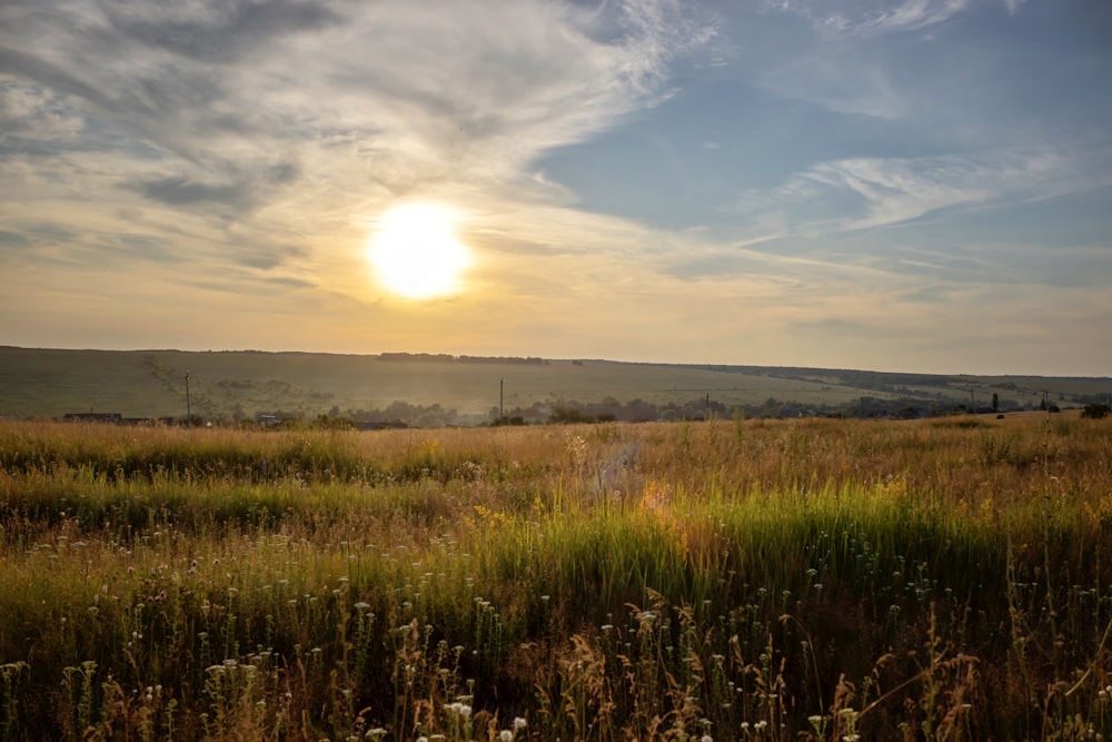 the sun is setting over a field of tall grass