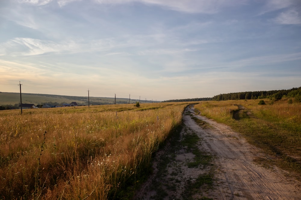 a dirt road in the middle of a field