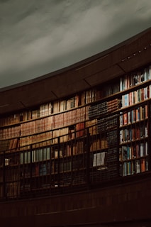 A sturdy, large-capacity bookshelf filled with colorful books illuminating a quiet corner.