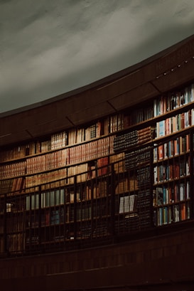 A large curved bookshelf filled with an array of colorful books. The shelves are stacked with volumes of varying sizes and colors, creating a visually rich tapestry. The setting is dimly lit, suggesting a quiet, introspective atmosphere. The architecture of the shelves suggests a library or study room environment.