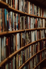 A person organizing books on a shelf in a cozy library room.