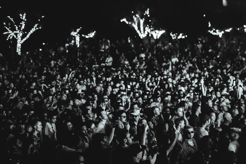 Packed crowd at a concert