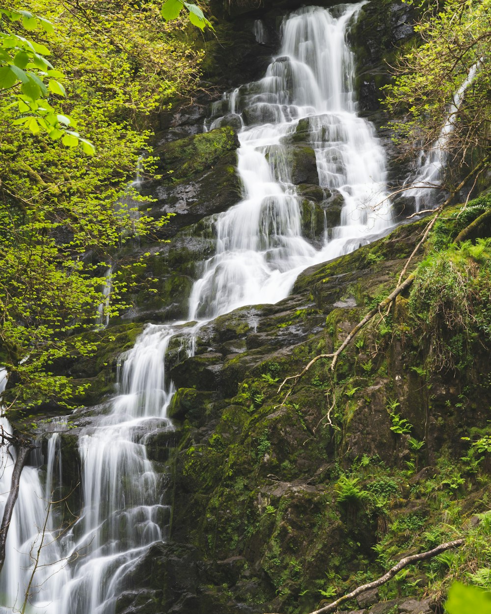 a waterfall in the middle of a lush green forest