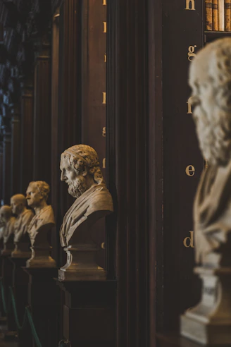 a row of marble busturines in a library