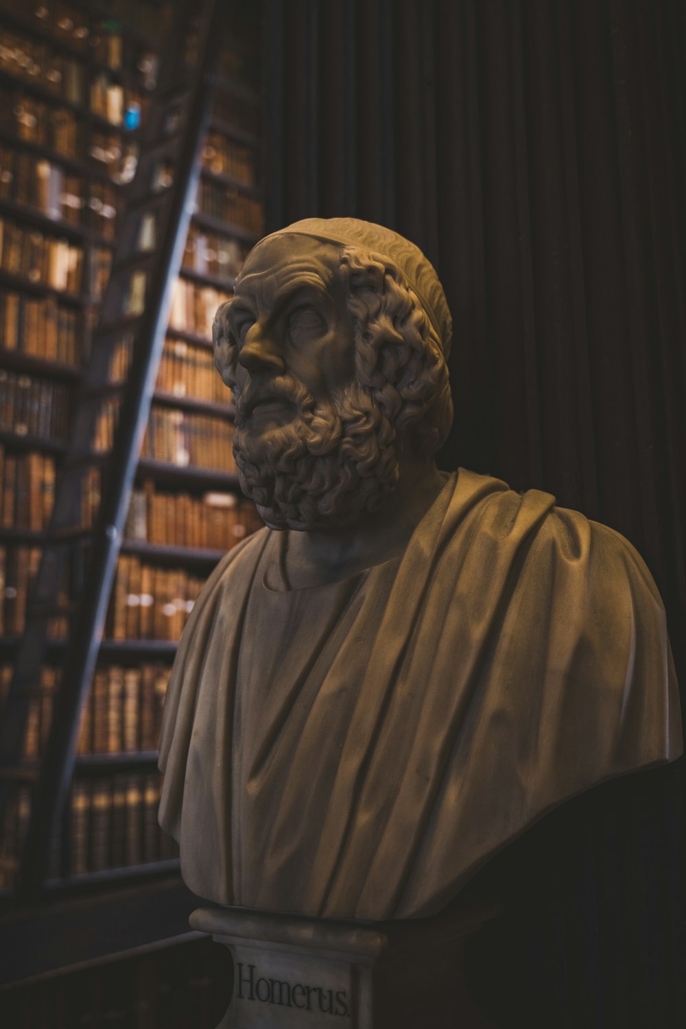 a statue of a man with a beard in front of a bookshelf