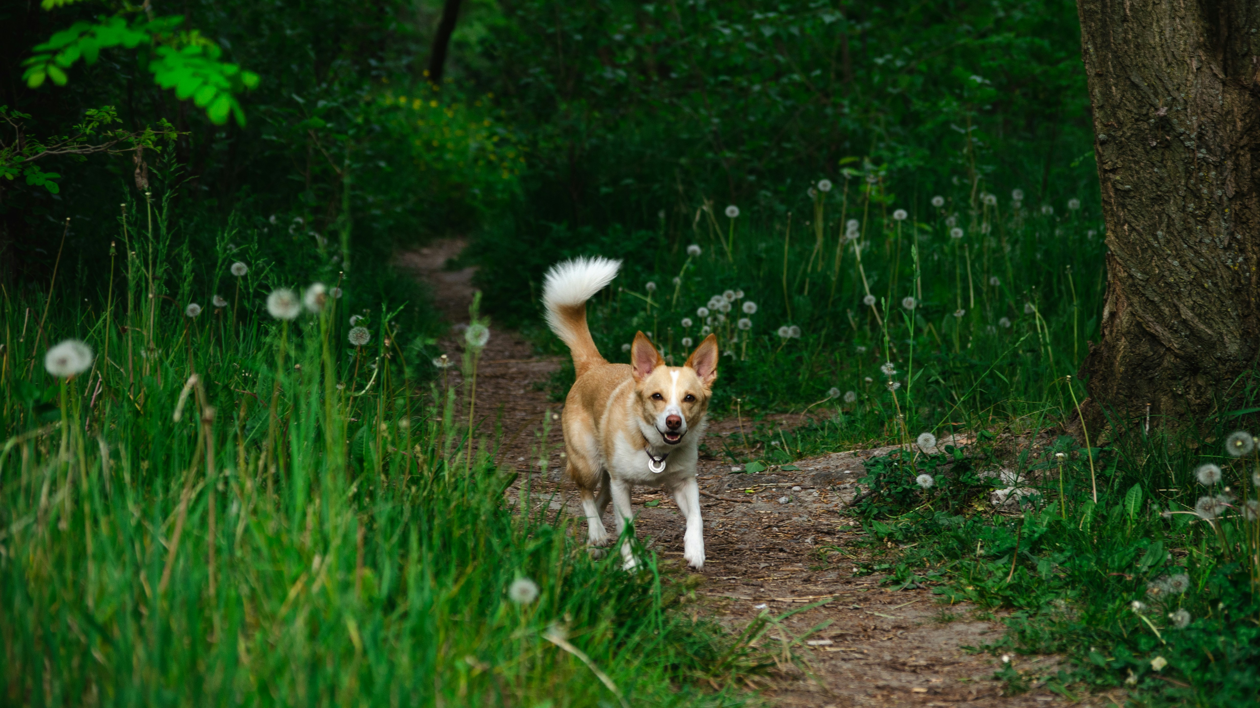 Support Eye Health with Movement and Monitoring