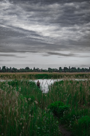 William Wordsworth in a pastoral setting, reflecting his deep connection to nature.