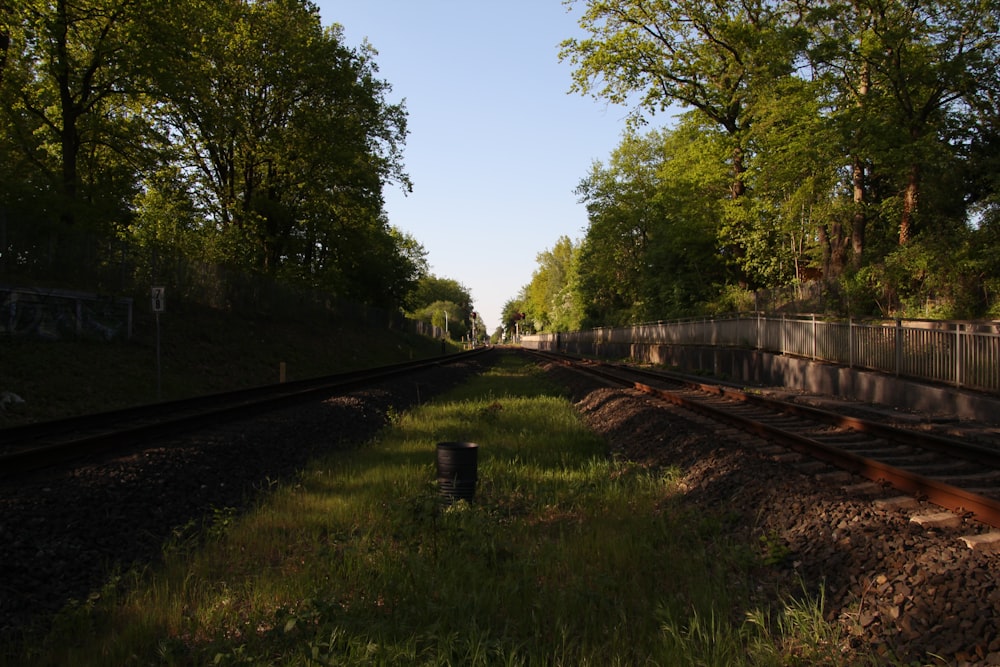 a train track running through a lush green forest