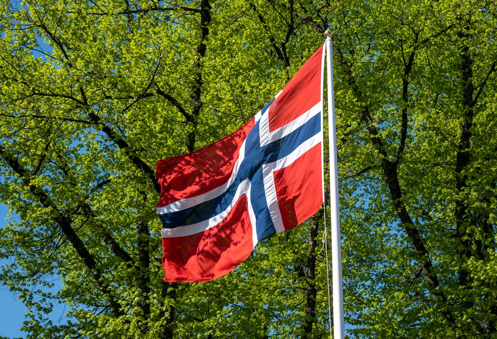 a flag flying in the wind with trees in the background