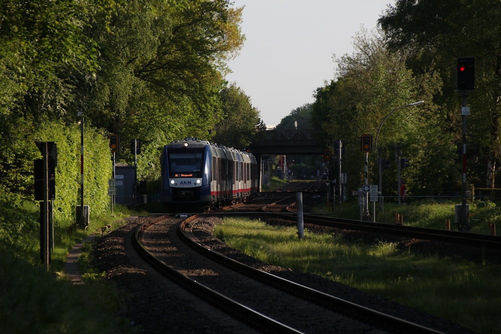 um trem viajando pelos trilhos do trem ao lado de uma floresta