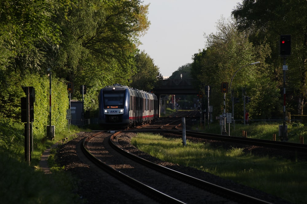 un train descendant les voies ferrées à côté d’une forêt