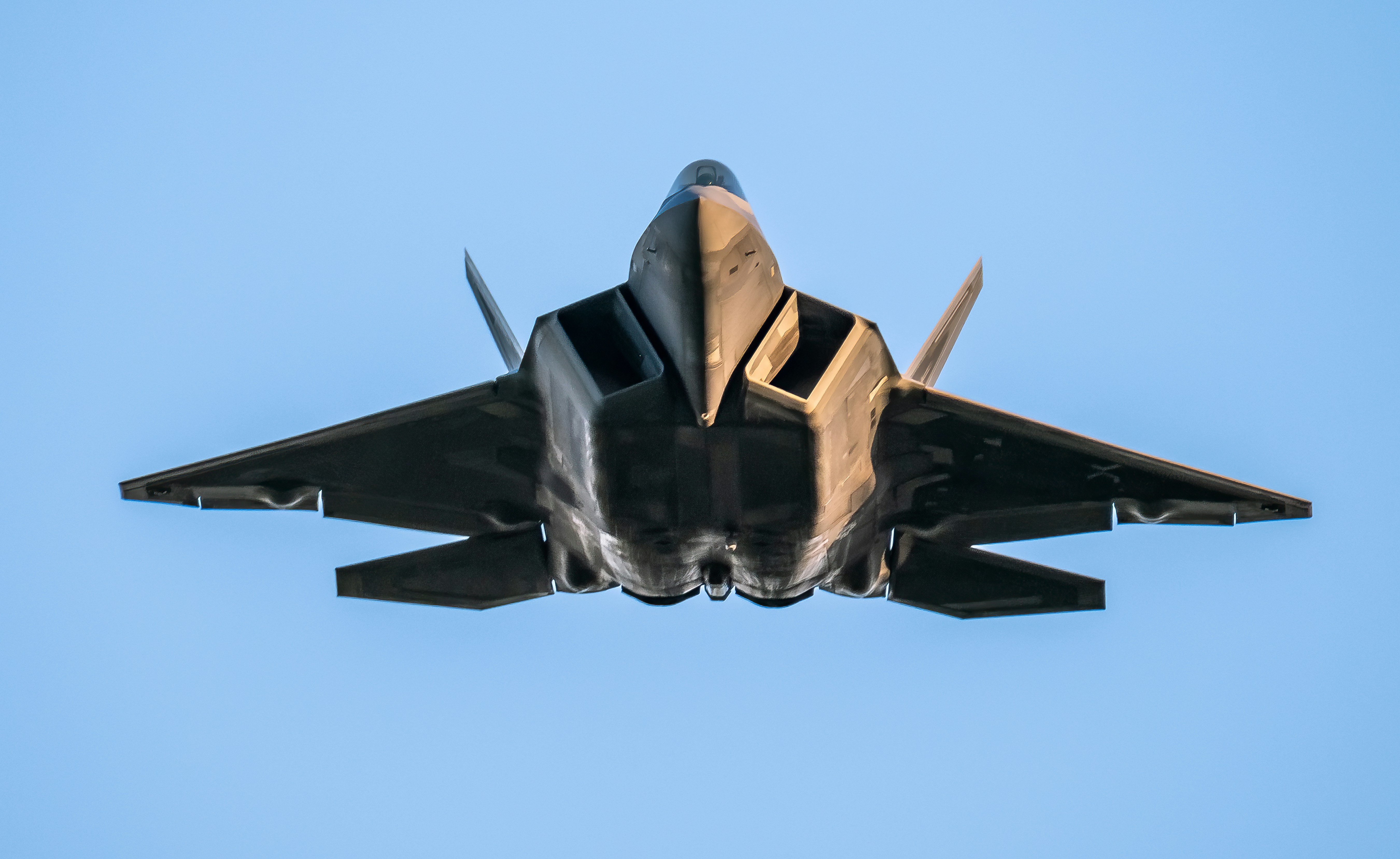 Photo by georgerosema