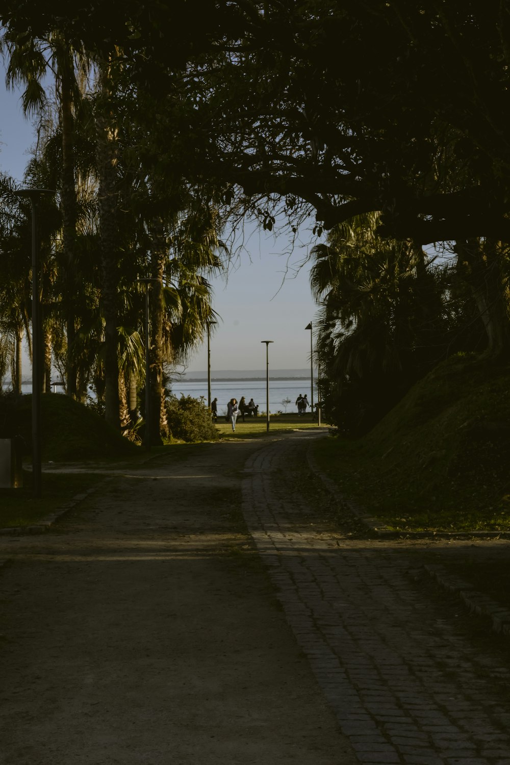 a couple of people sitting on a bench under some trees