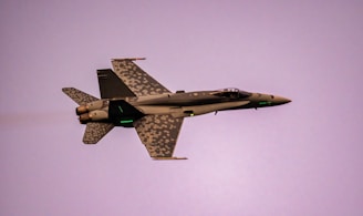 An F15 fighter jet silhouette blending into a blue to white gradient background.