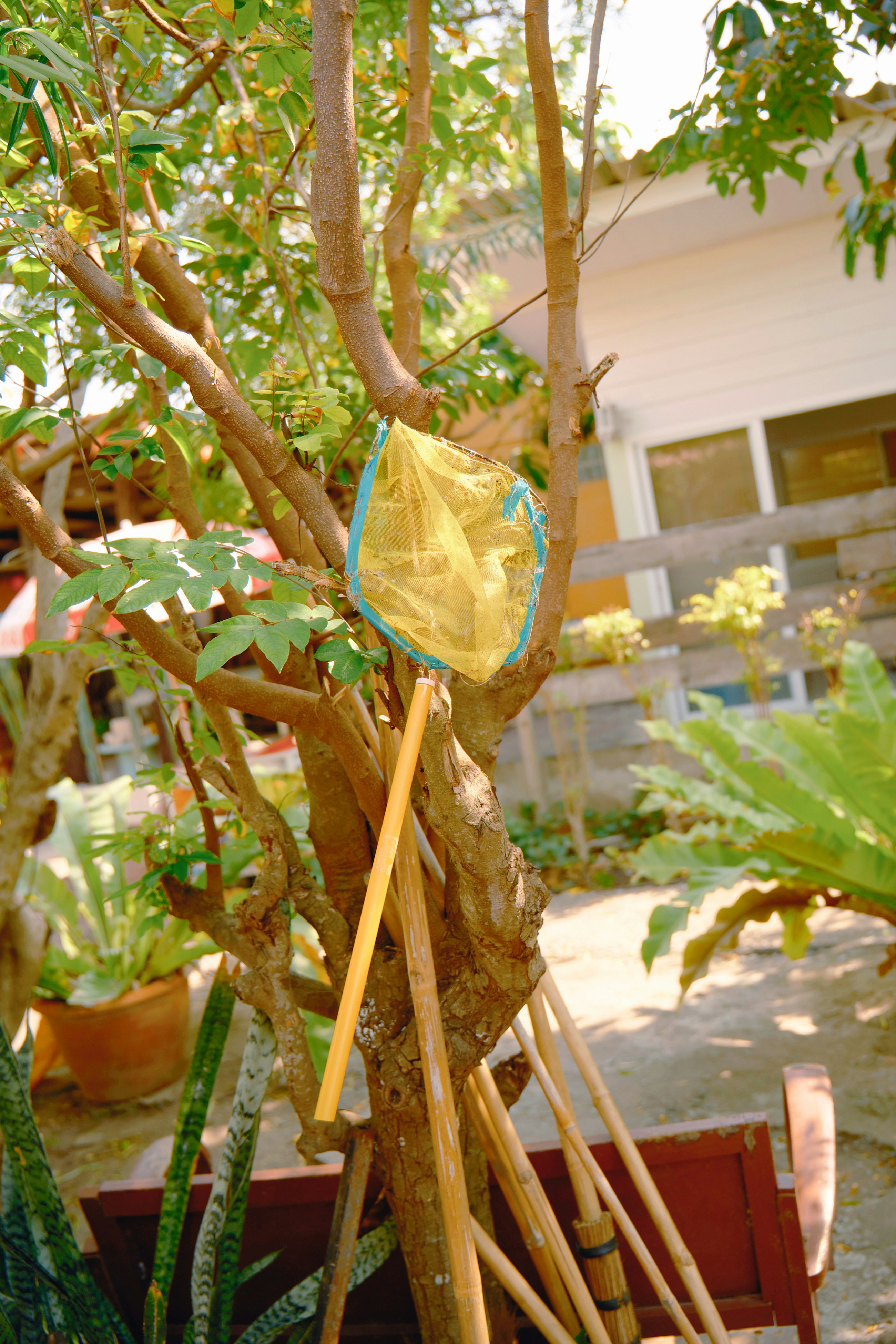 a tree with a yellow bag stuck in it