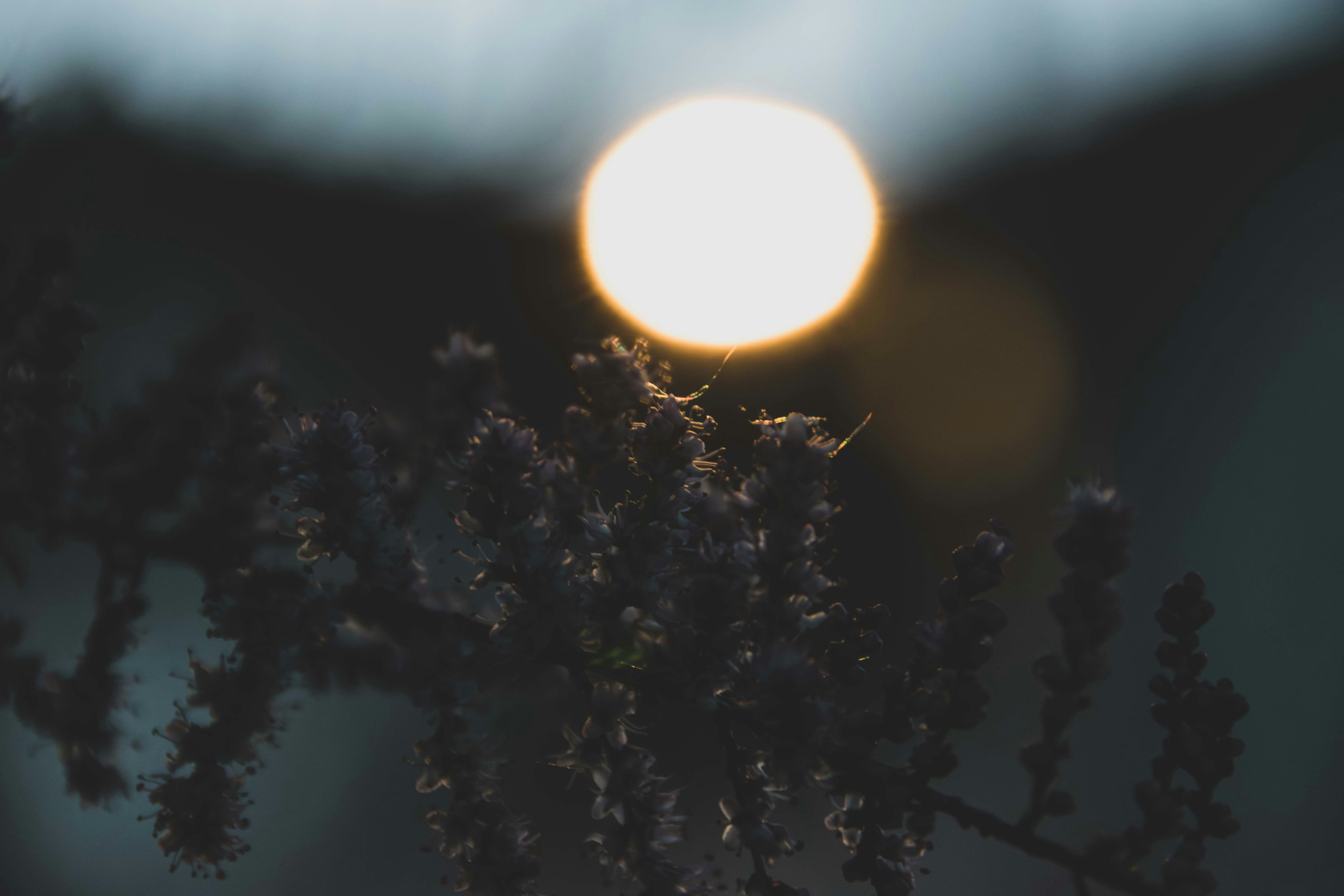 Photo by tobyjay2010