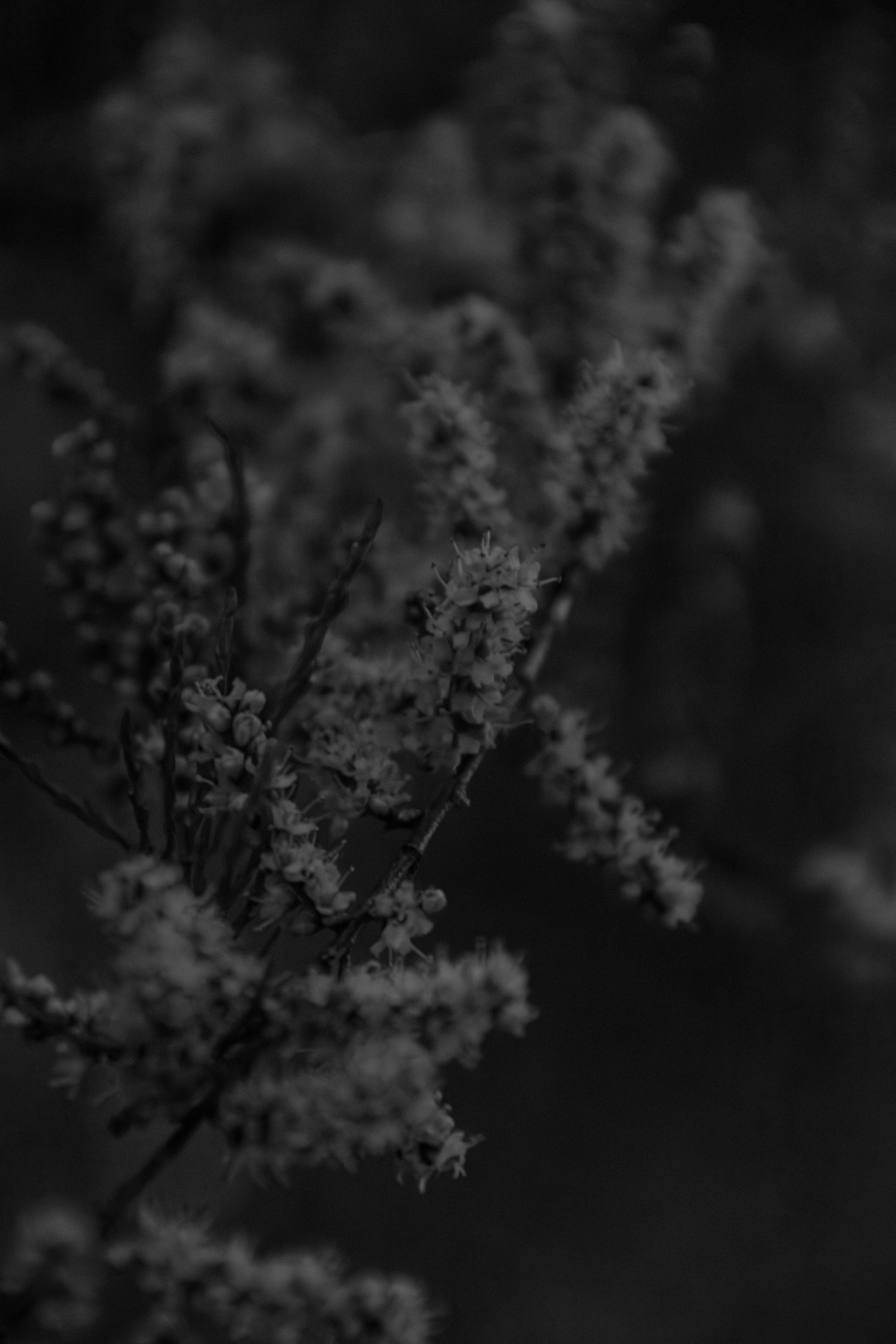 Photo by tobyjay2010