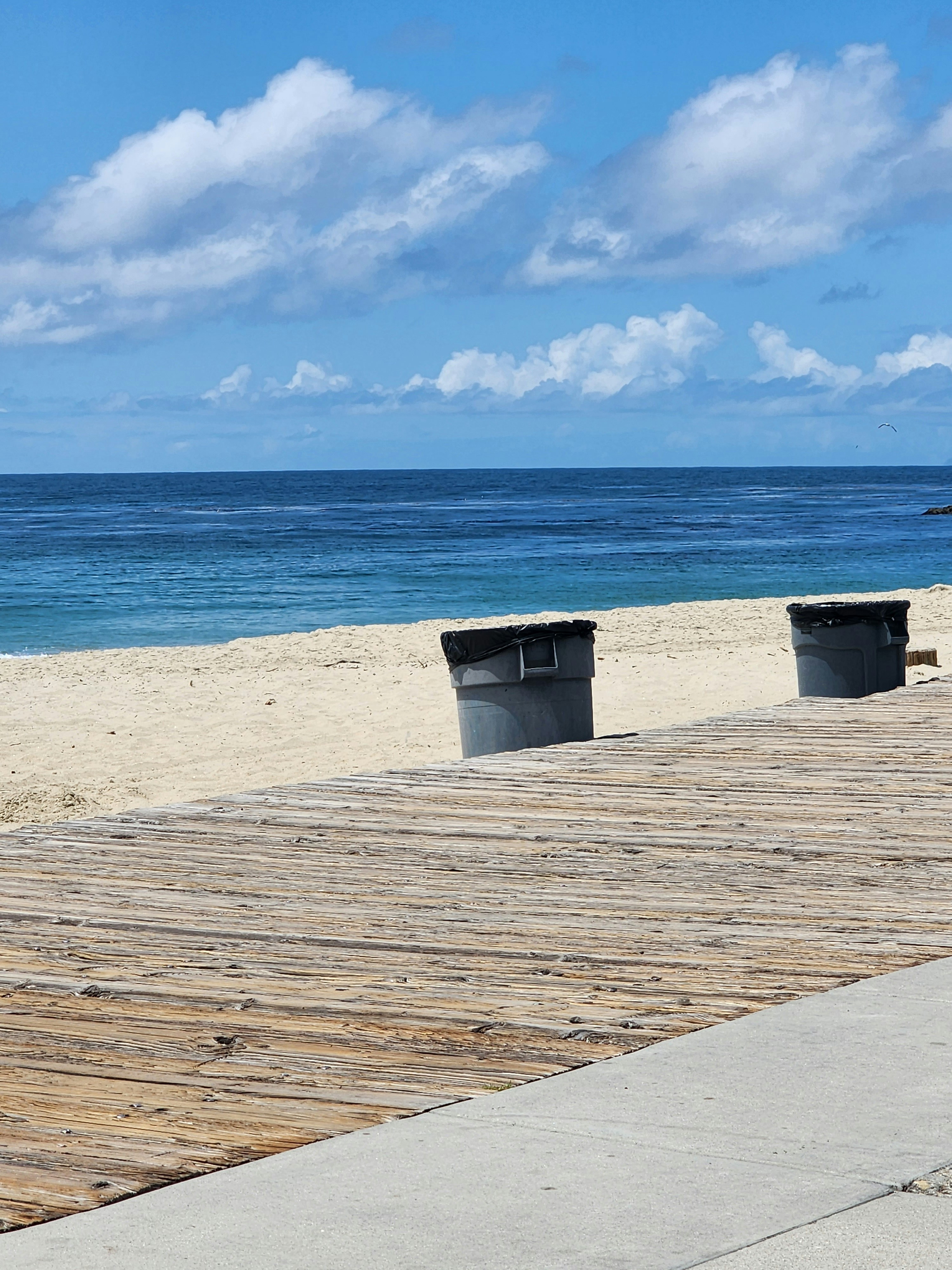 Guardwave Trash Can