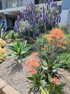 A vibrant flower garden blooming in front of the resort’s main building
