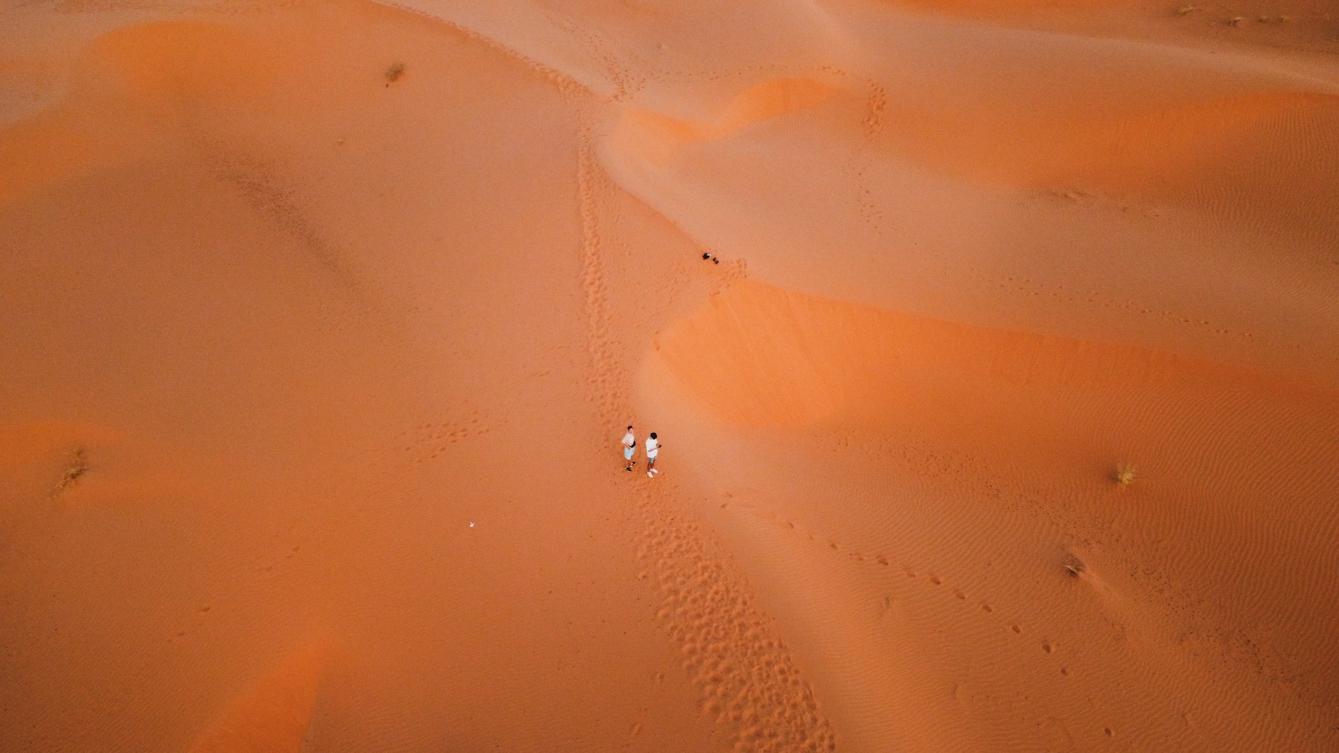 a group of people riding on top of a sandy dune