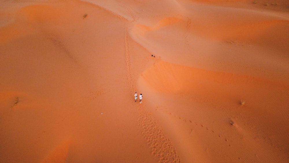 a group of people riding on top of a sandy dune